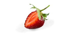 Fraise 2