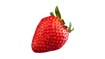 Fraise Fraise